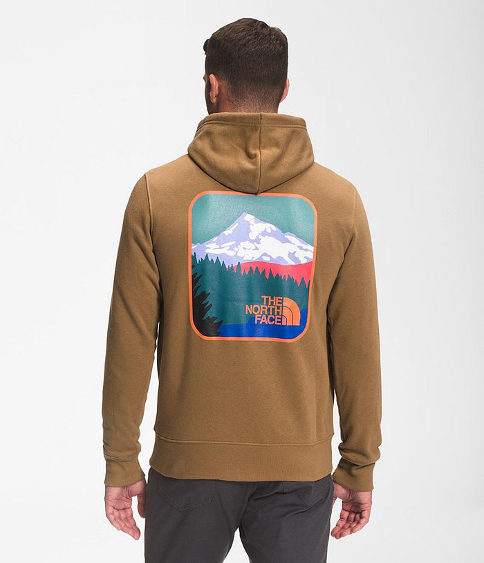 The North Face Hoodie Parks Pullover Khaki - Mens - Thailand XFCSR-1327